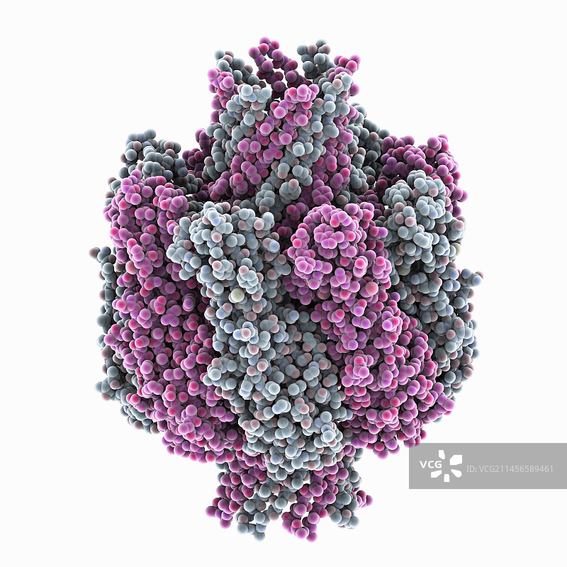 产气荚膜梭菌β-毒素分子模型图片素材