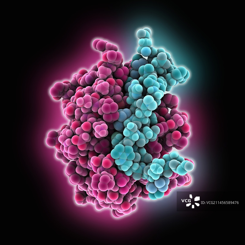 细胞凋亡抑制剂KsBcl-2复合物分子模型图片素材