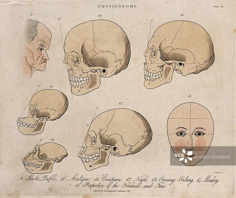 19世纪的相面术插图图片素材
