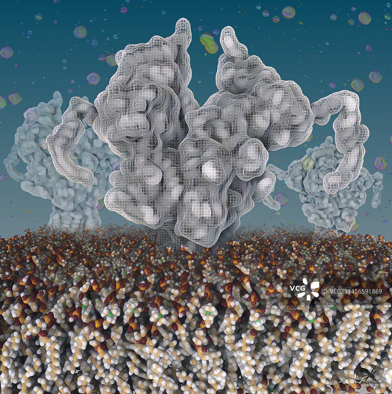 NMDA受体示意图图片素材