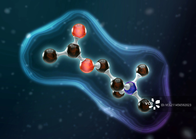 乙酰胆碱神经递质分子结构图图片素材