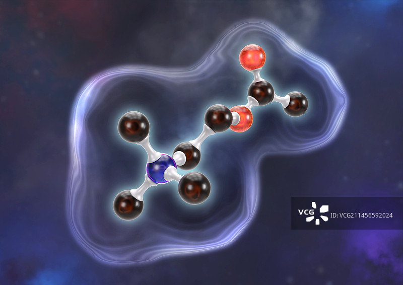 乙酰胆碱神经递质分子结构图图片素材
