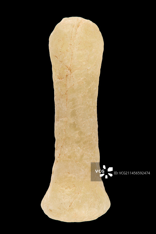 新石器时代唇部穿孔图片素材