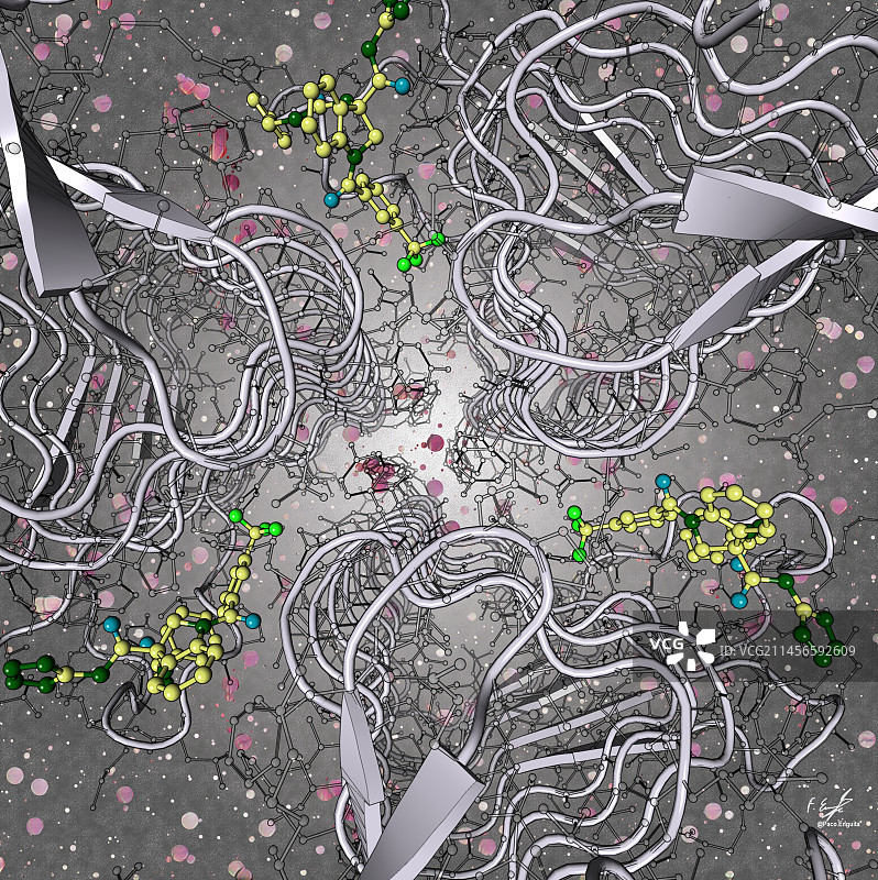 LpxA脂质生物合成酶和抑制剂，图示图片素材