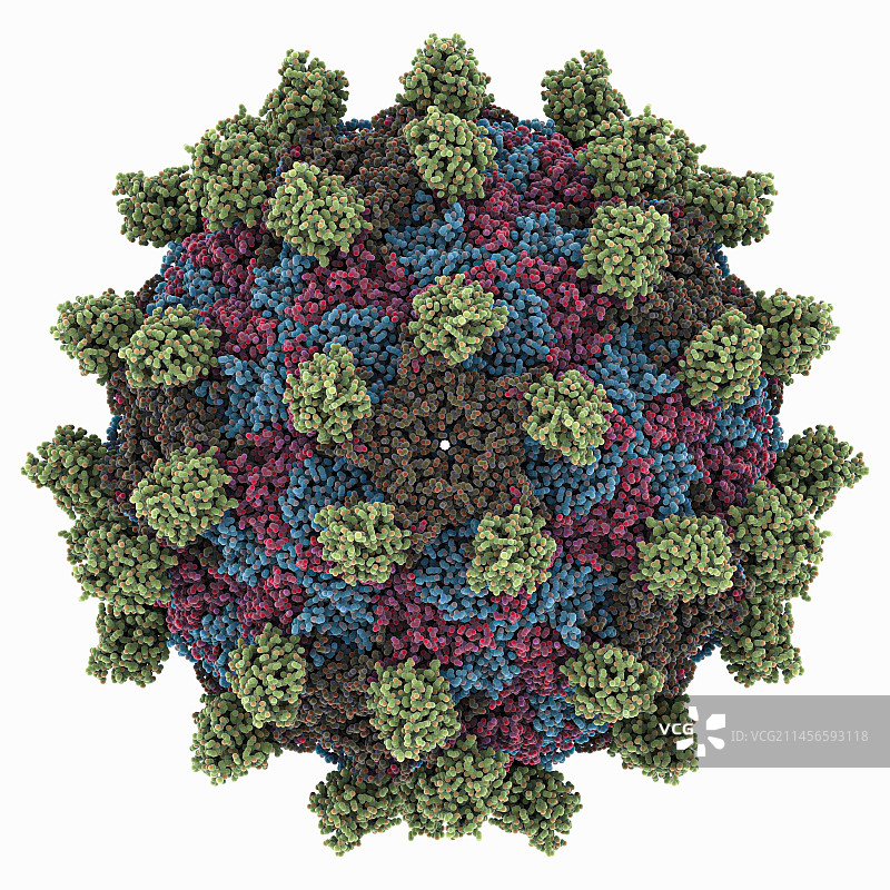 塞内卡病毒衣壳与炭疽受体分子模型图片素材