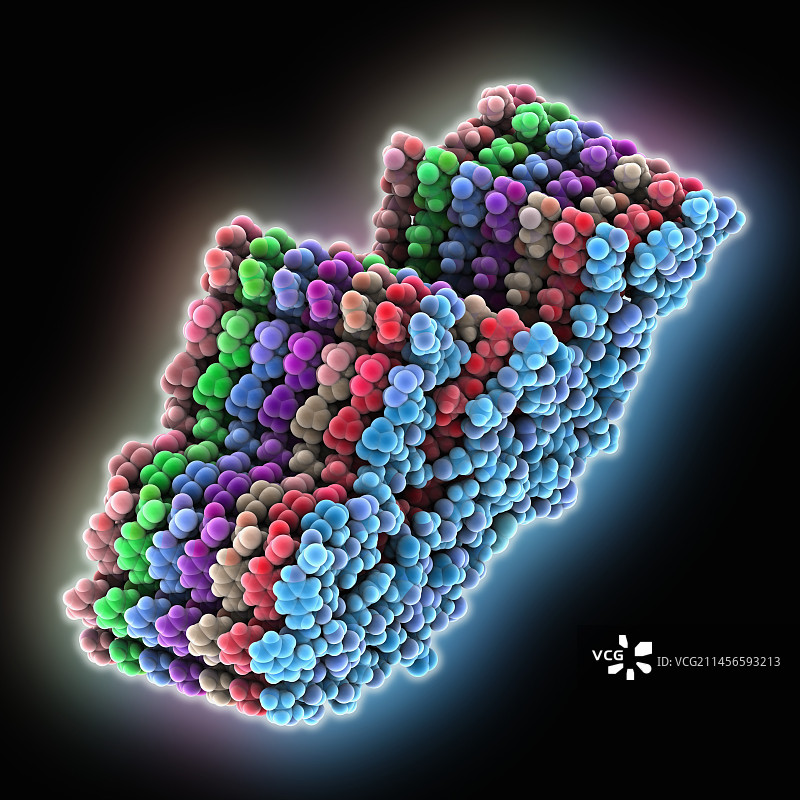 AL淀粉样原纤维分子模型图片素材