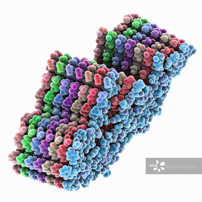 AL淀粉样原纤维分子模型图片素材