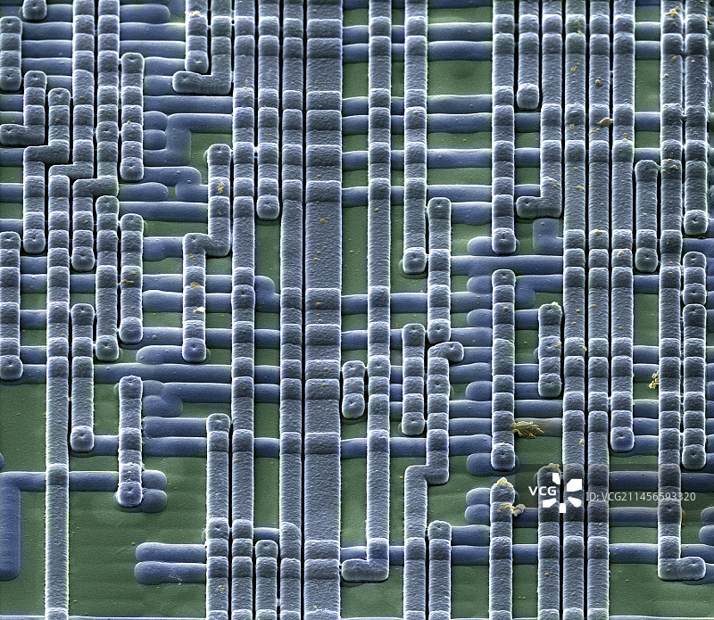 微芯片表面扫描电镜图图片素材