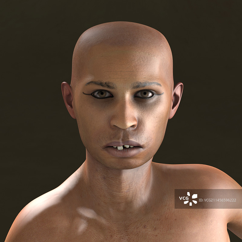 图坦卡蒙插画图片素材