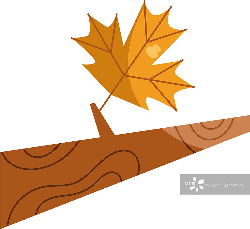 最后的枫叶图片素材