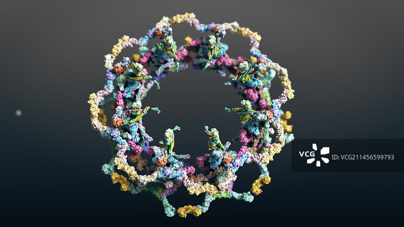 酵母核孔复合体分子模型图片素材