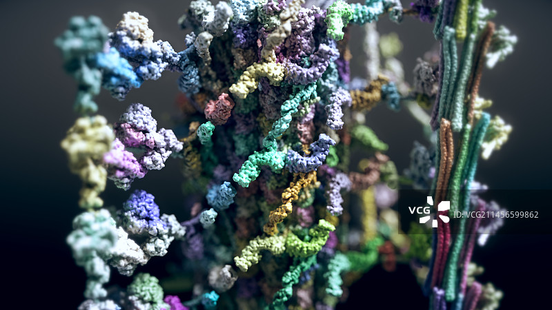 纤毛中央器分子模型图片素材