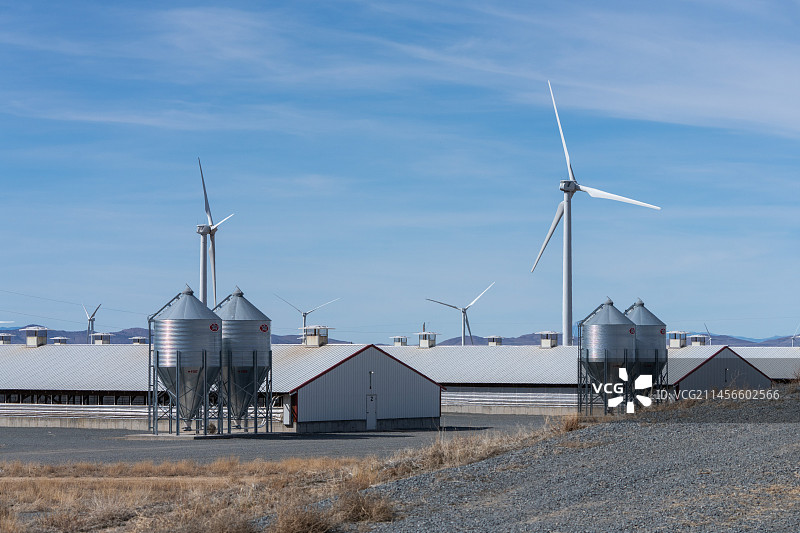 生猪养殖场的猪舍图片素材