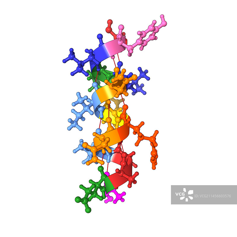 α螺旋结构插图图片素材