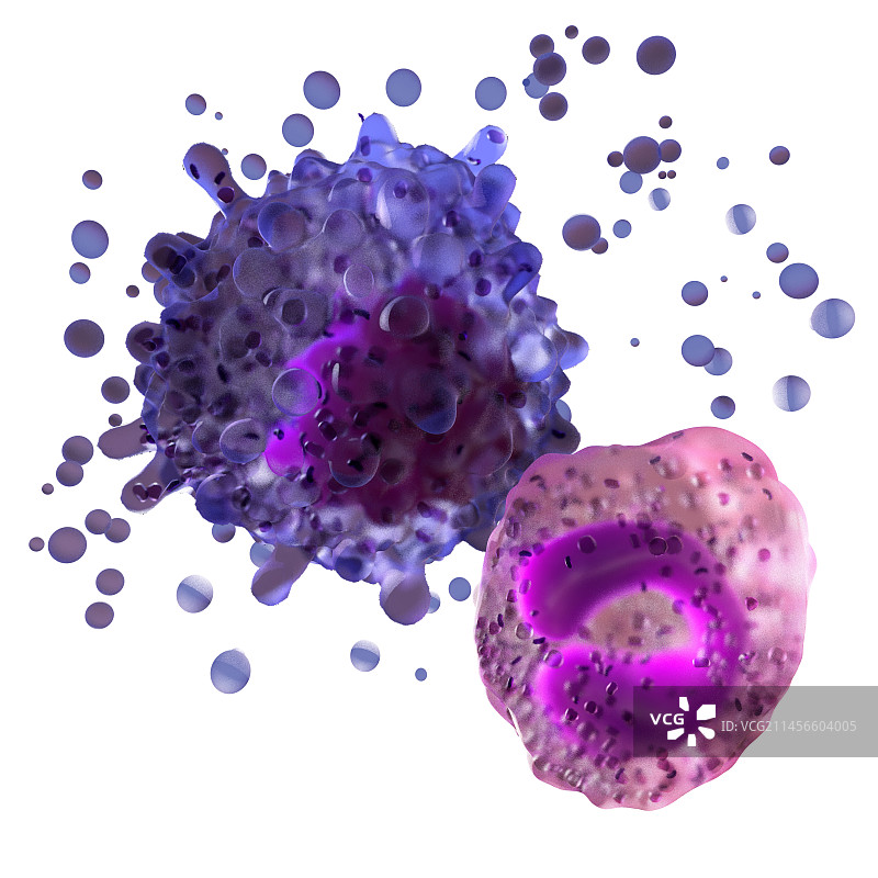 破碎的巨核细胞和干细胞插图图片素材