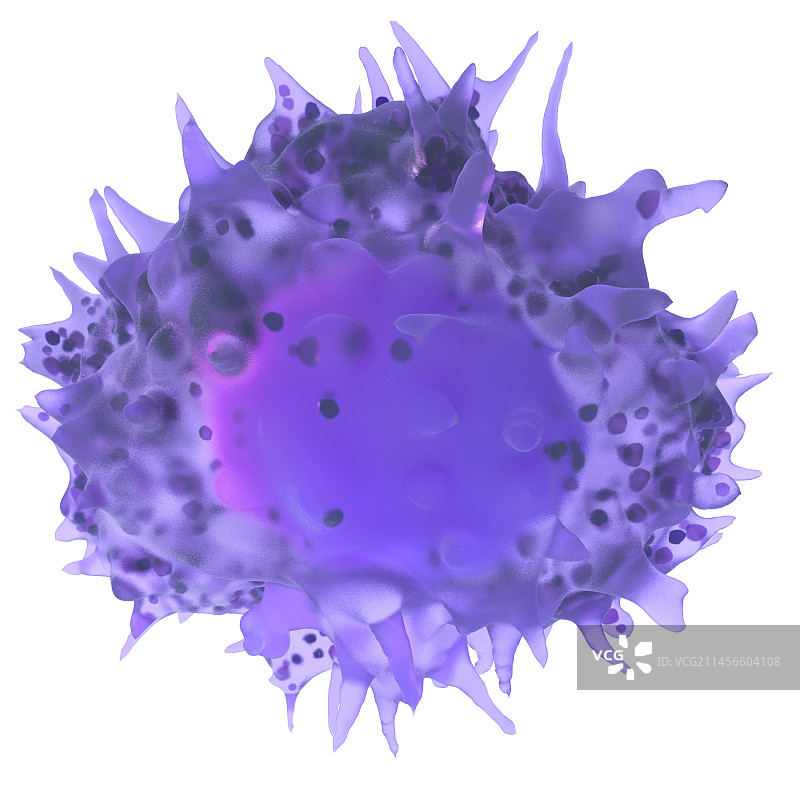 淋巴细胞图示图片素材