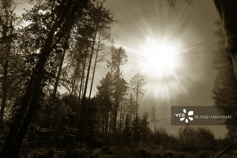 通古斯事件插图图片素材