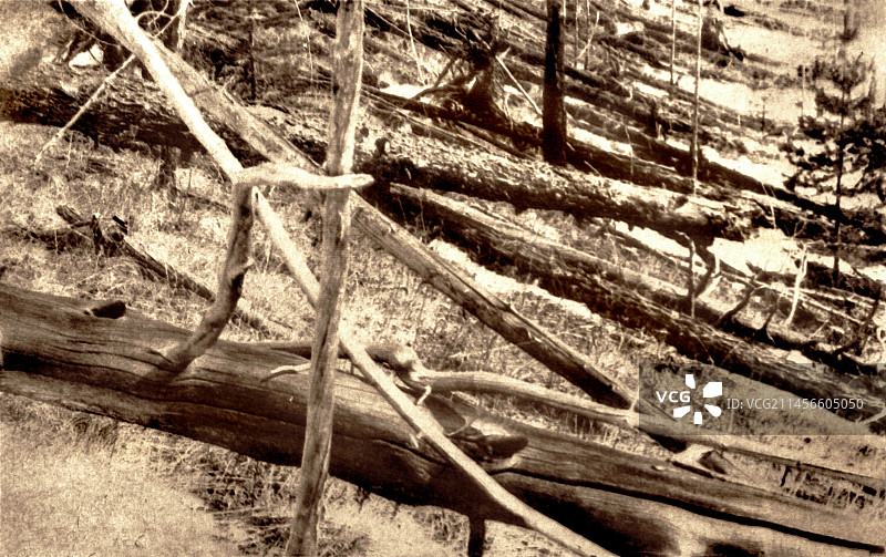 通古斯事件遗址图片素材