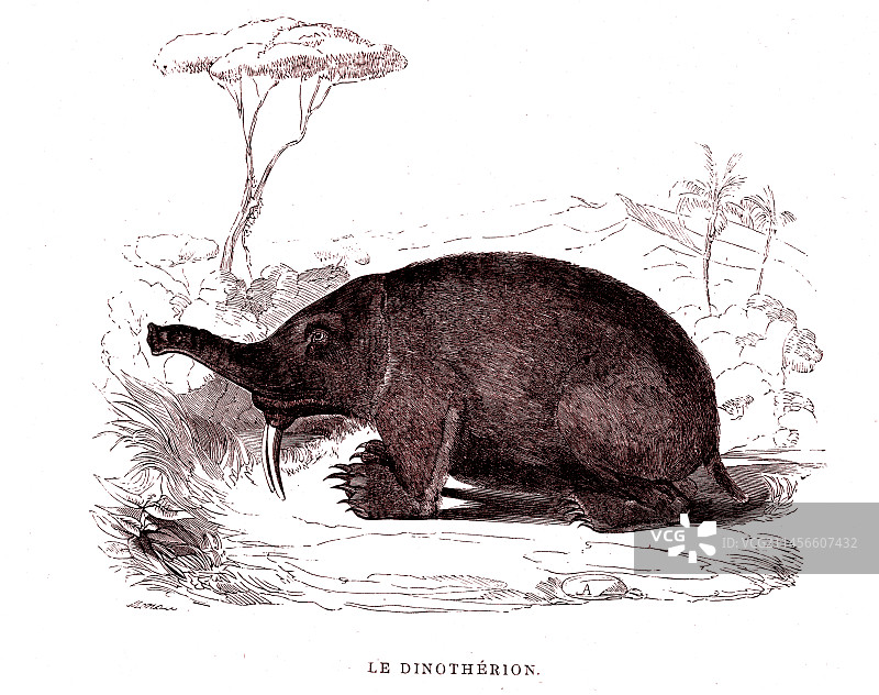 恐象，19世纪插图图片素材