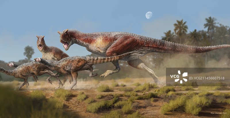 食肉牛龙恐龙狩猎插画图片素材