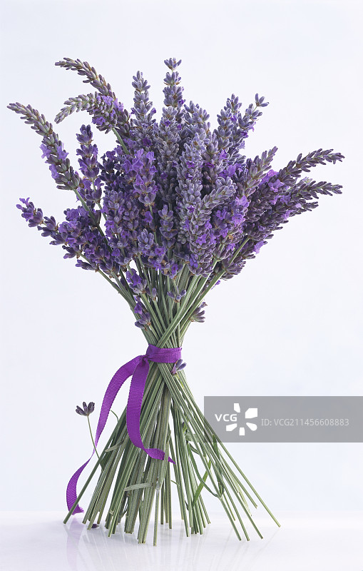薰衣草花束图片素材
