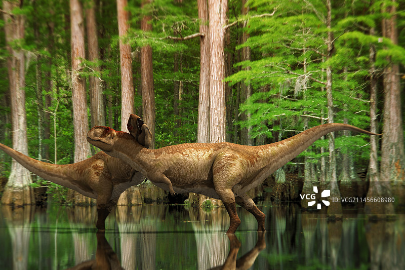 阿贝力龙亲昵地互相摩擦颈部，插图图片素材