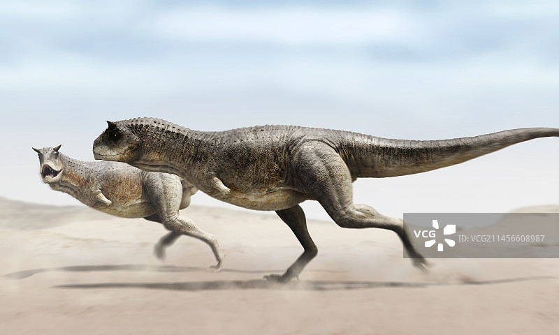 奔跑中的食肉牛龙图片素材