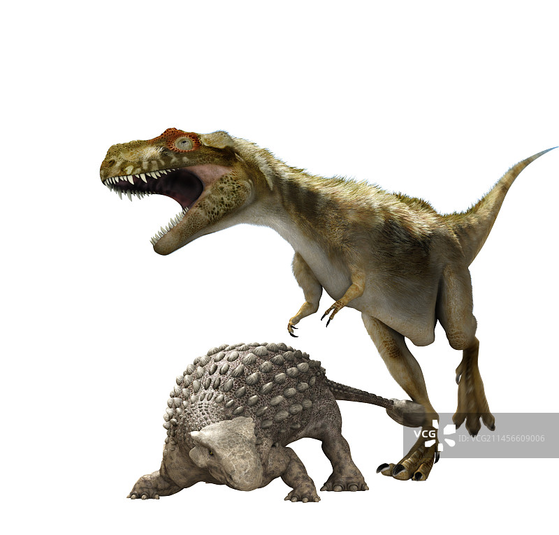 甲龙与霸王龙插画图片素材