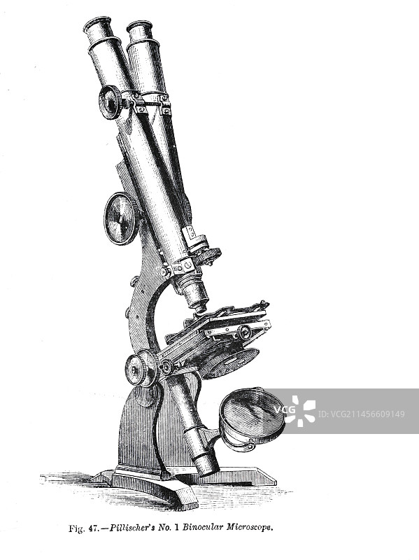 皮利舍尔1号双筒显微镜插图图片素材