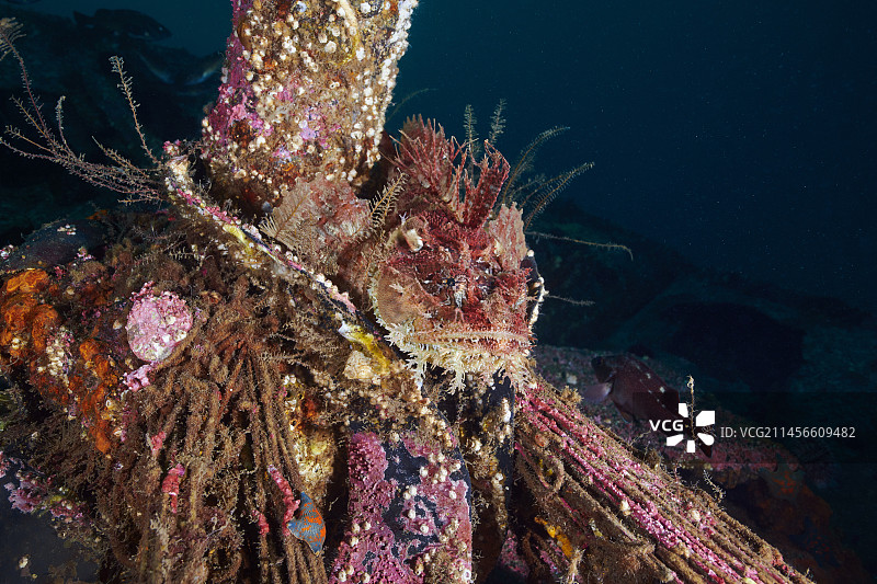 沉船上的海鸦图片素材