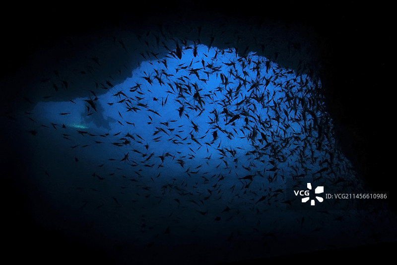 虾洞穴图片素材