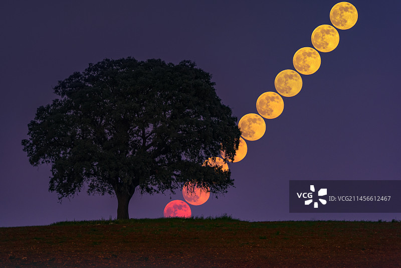 冷月在树后升起，延时摄影图片素材