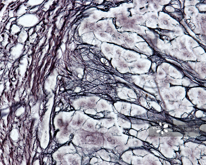 中国和巴基斯坦边境上的卷积云图片素材