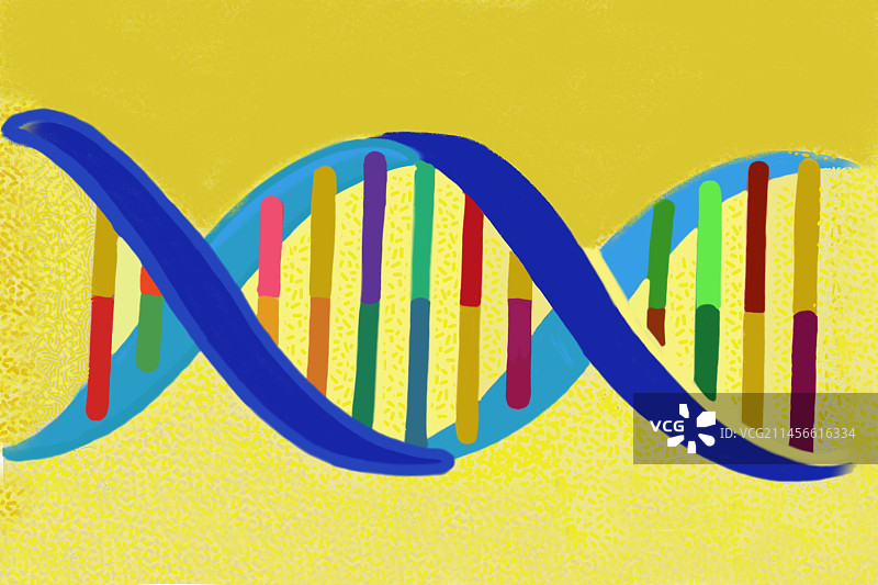 DNA图图片素材