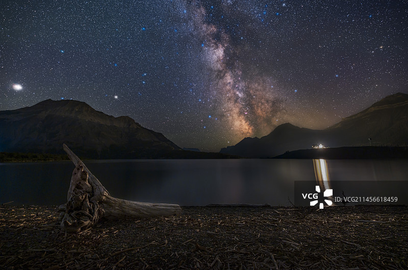 加拿大阿尔伯塔省漂木海滩上的银河图片素材