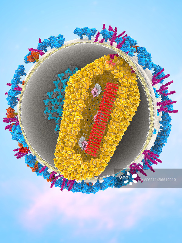 艾滋病毒颗粒，插图图片素材