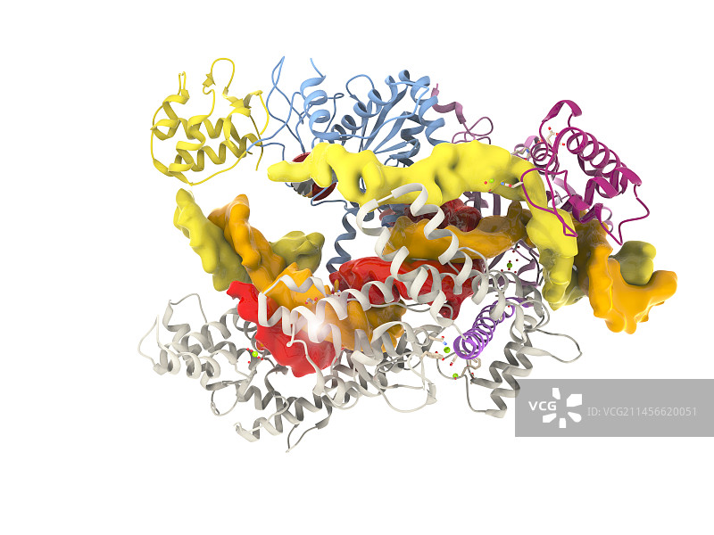 CRISPR Cas12a蛋白分子模型图片素材