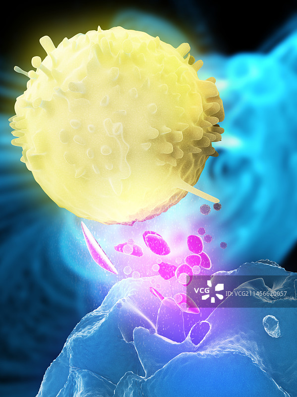 自然杀伤细胞攻击目标图片素材