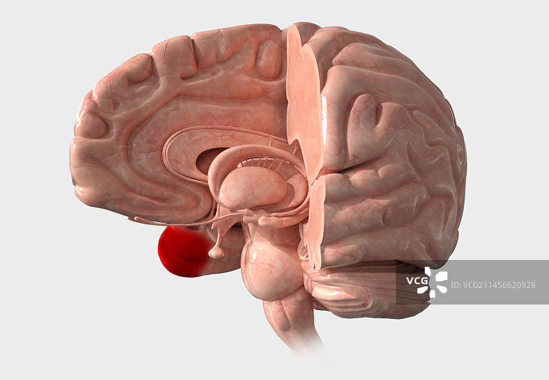 临时杆插画图片素材