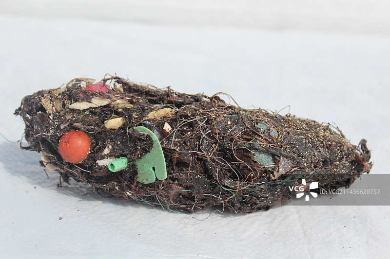 含有微塑料的食团图片素材