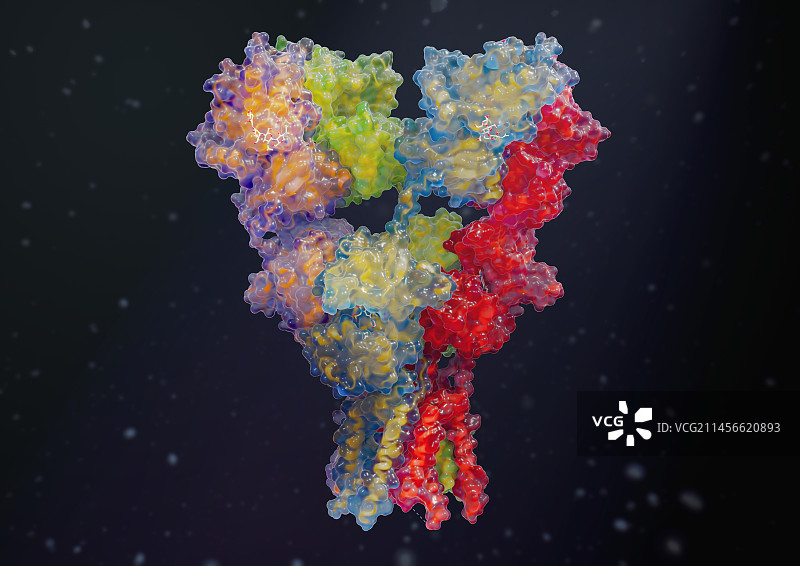 AMPA受体插图图片素材