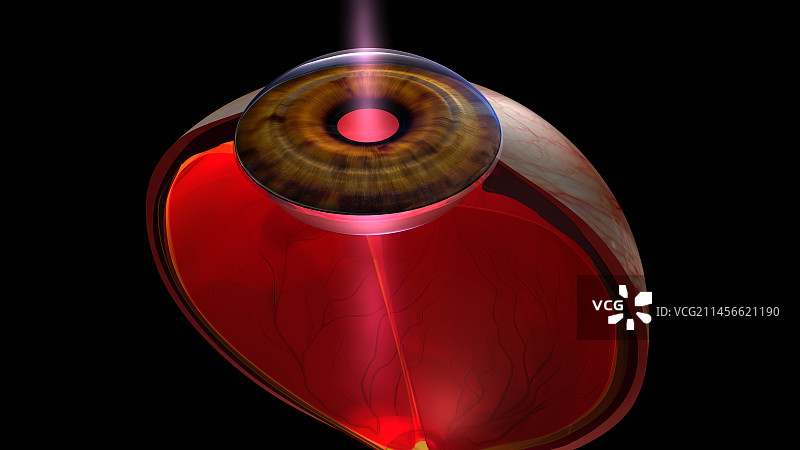 光线进入人眼插画图片素材