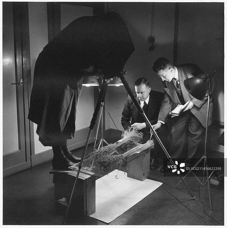 教授和学生拍摄植物根系图片素材