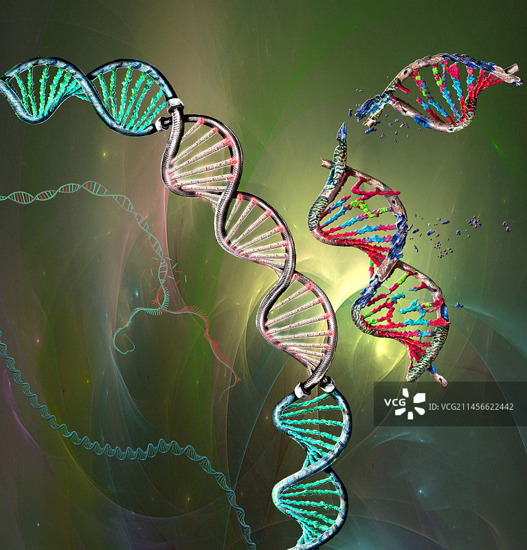 基因修复概念图图片素材