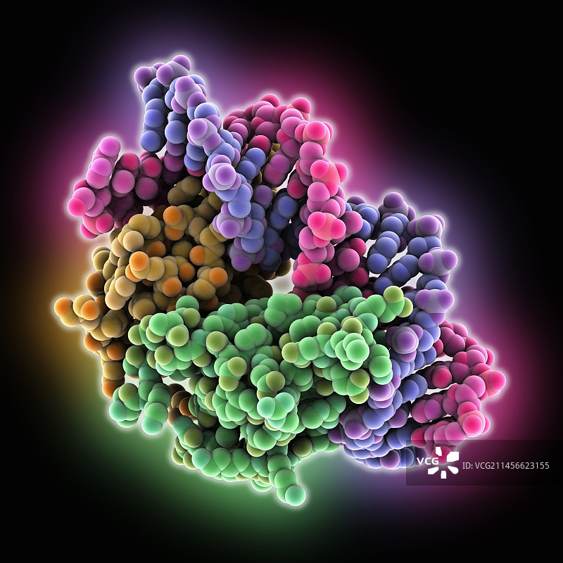 抗CRISPR相关蛋白复合物分子模型图片素材