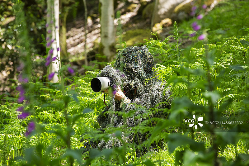 身穿伪装服的野生动物摄影师图片素材