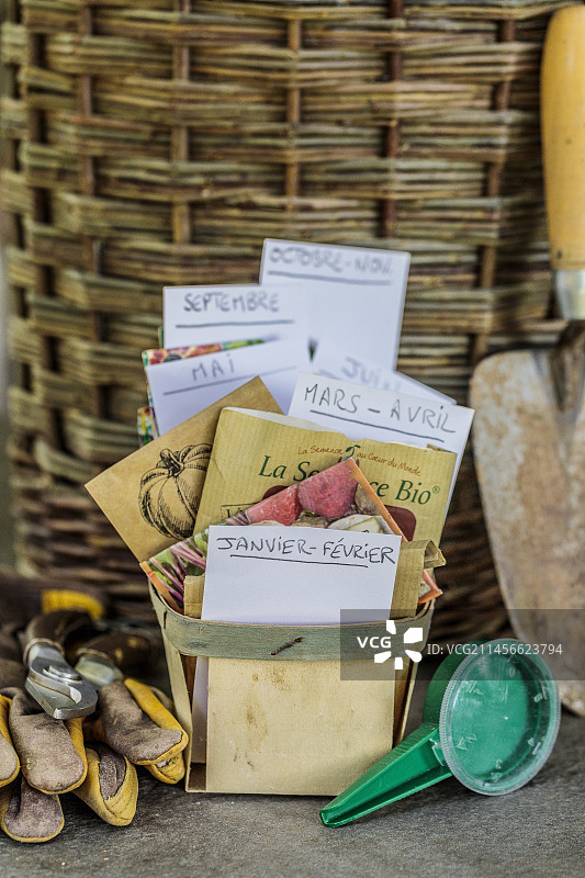 蔬菜种子按时期分类包装，含播种机和园艺工具图片素材