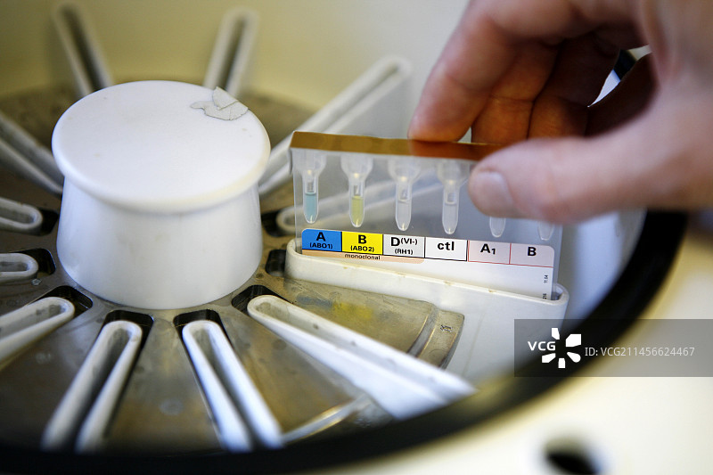 病理学家将血液样本装入离心机图片素材
