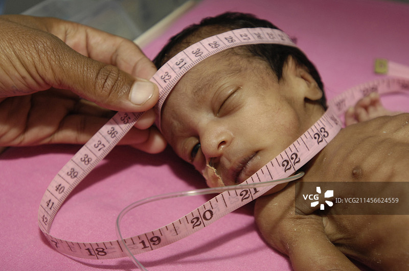 新生儿科护士测量早产儿头部图片素材