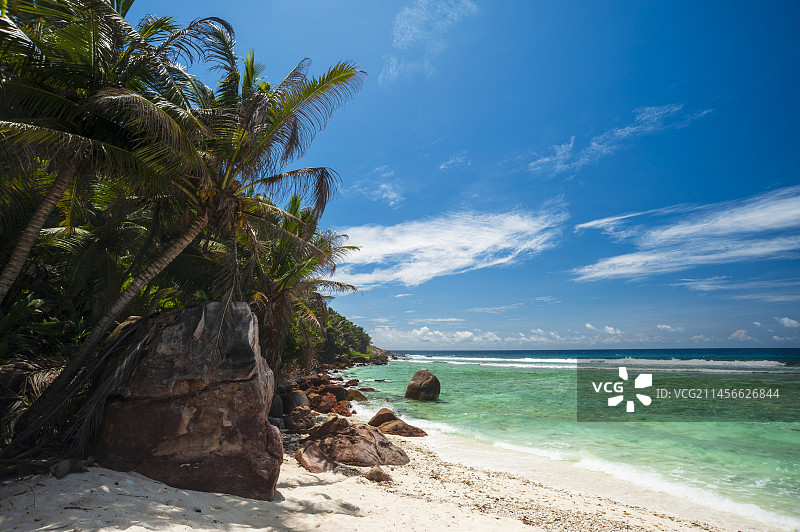 印度洋上的棕榈树和巨石海滩图片素材